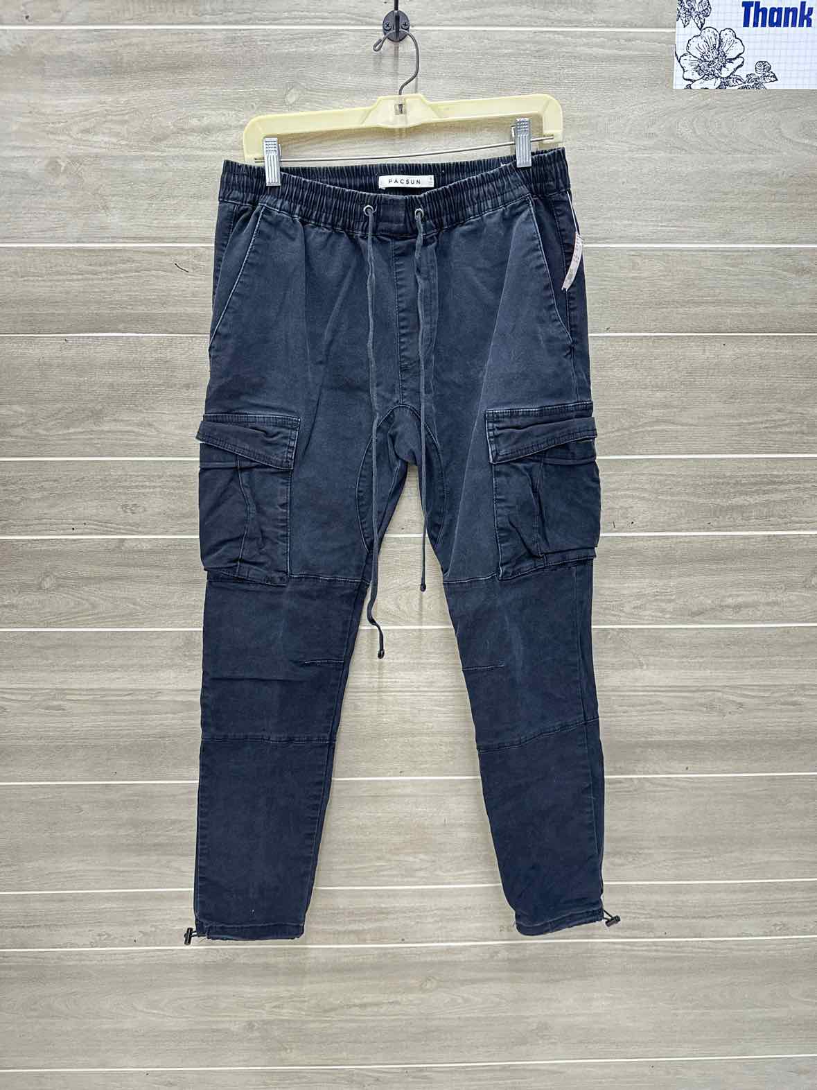 PacSun Size 32 Men Mens Pants