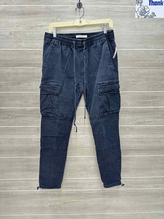 PacSun Size 32 Men Mens Pants