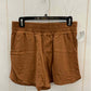 Maurices Brown Womens Size 6 Shorts