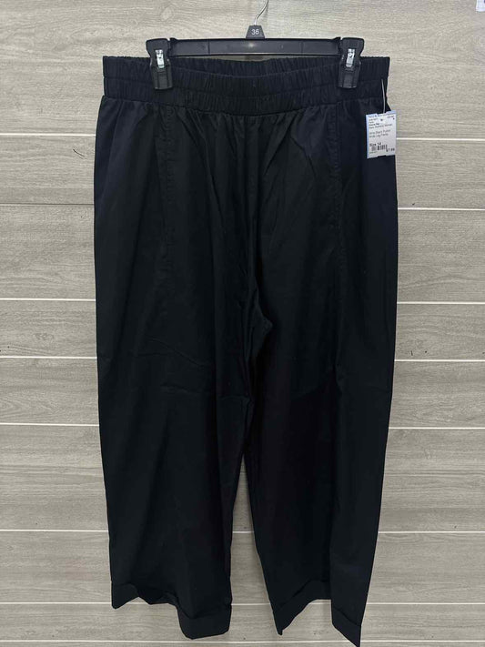 Sienna Sky Size 14 Black Womens Pants