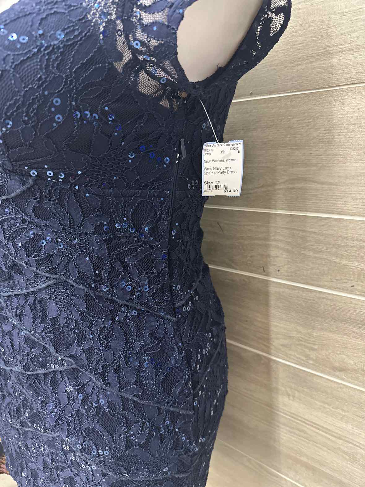 Size 12 Navy Womens Dress