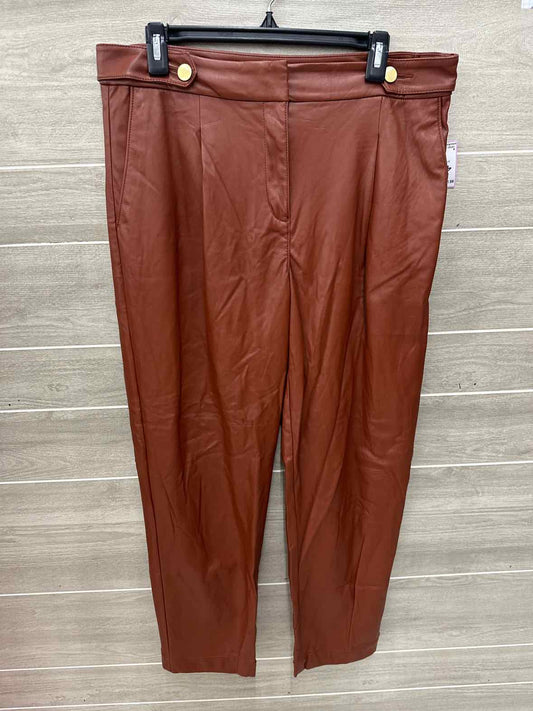 LOFT Brown Womens Size 10 Pants