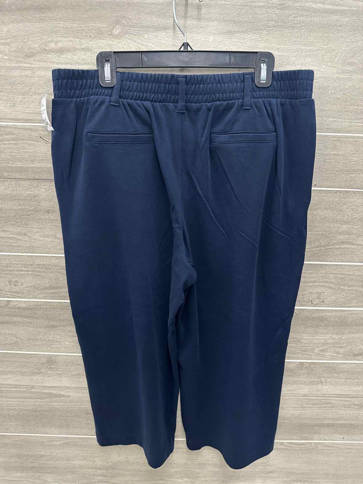 Lands End Size 16P Blue Petite Pants