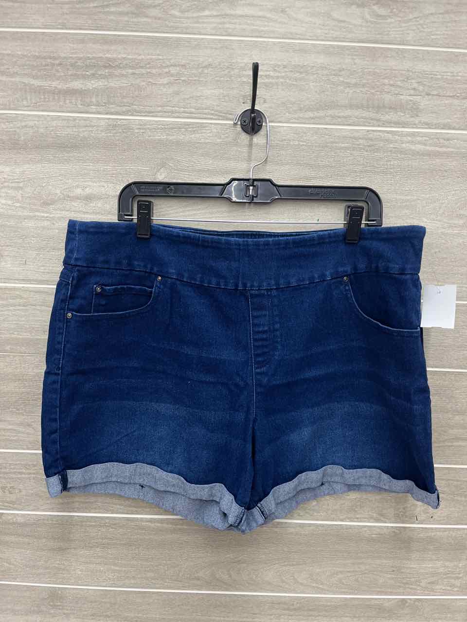 Time & Tru Size 16/18 Blue Plus Shorts
