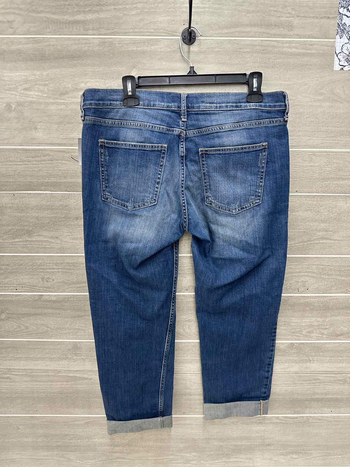Banana Republic Blue Womens Women Size 10P Jeans
