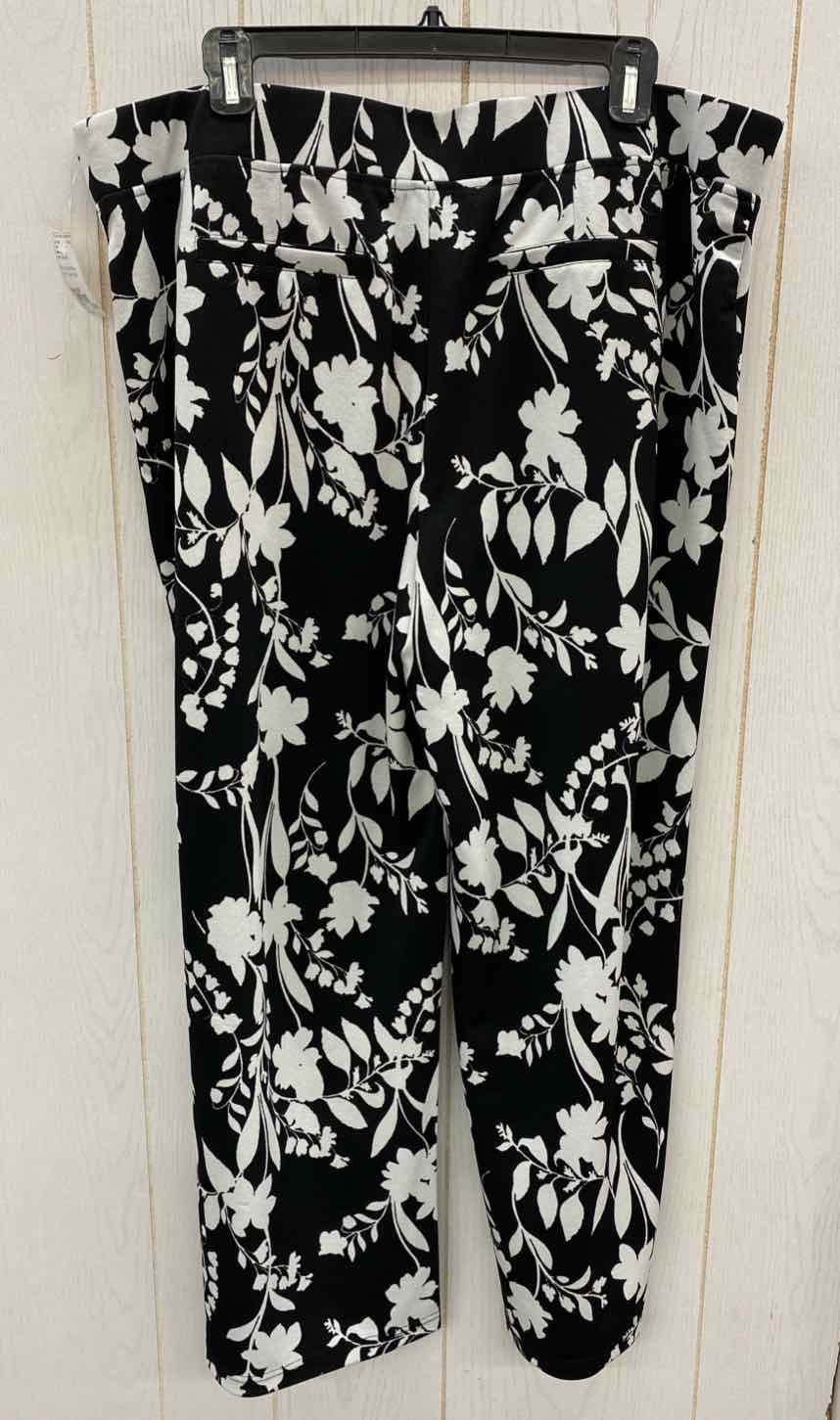 Isaac Mizrahi Black Womens Size 20P Pants