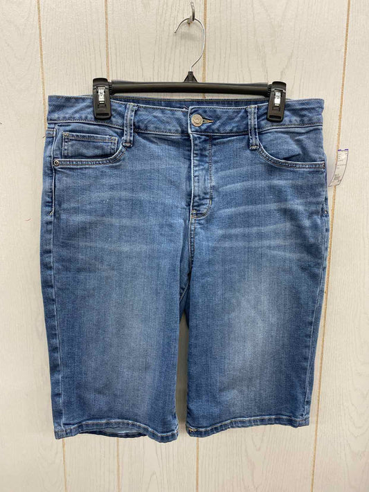 SJB Blue Womens Size 14 Shorts