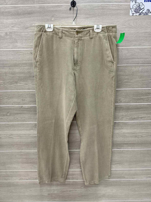 Tommy Bahama Size 36 Men Mens Pants