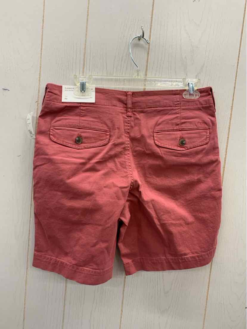 American Eagle Size 30 Mens Shorts