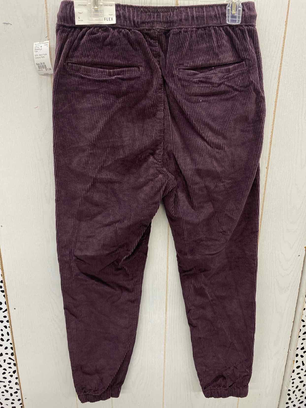 American Eagle Size 28-30 Mens Pants