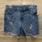 ANA Size 12 Blue Womens Shorts