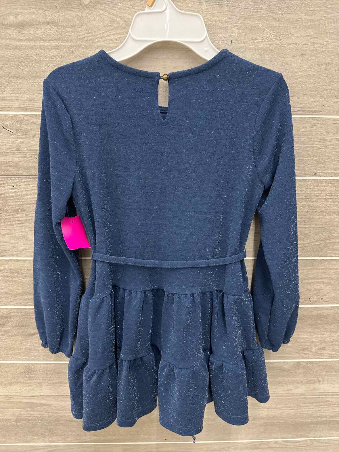Evsie Girls Size 8 Dress