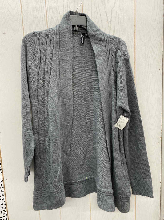 Jason Maxwell Gray Womens Size XL Sweater