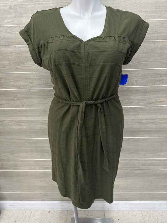 Sonoma Size 12 Olive Womens Dress
