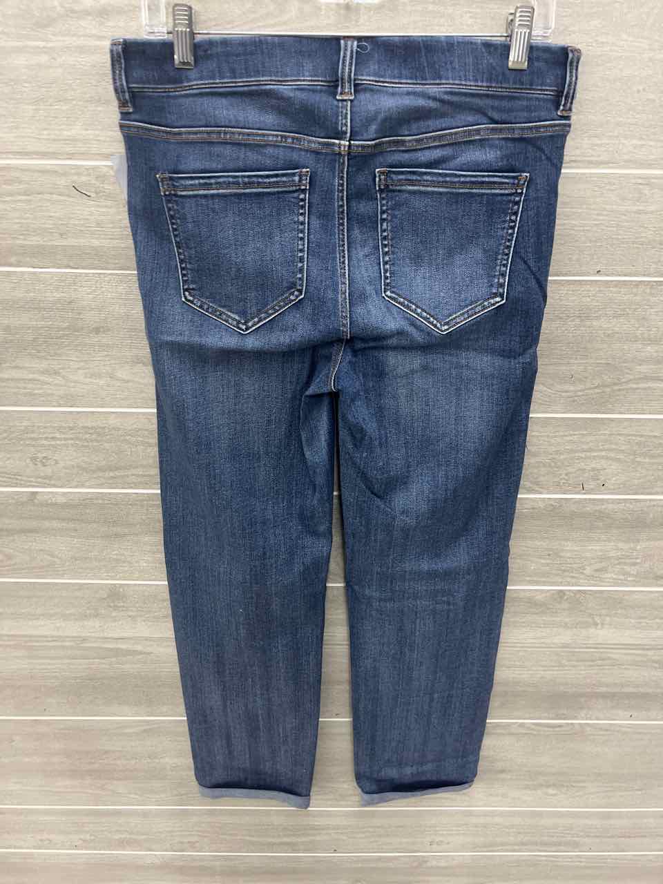 Liverpool Blue Womens Women Size 10 Jeans