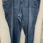 Earl Blue Womens Size 24W Jeans