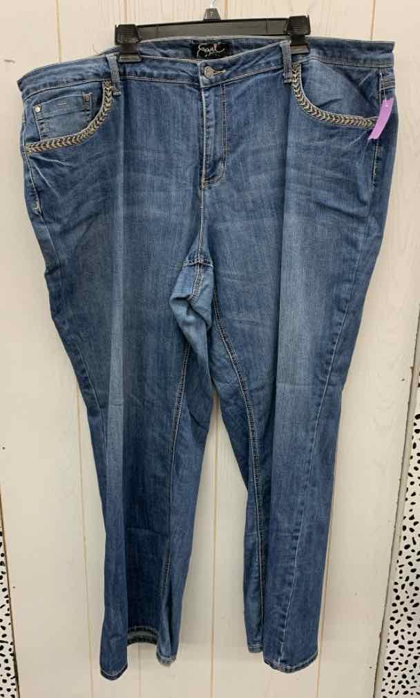 Earl Blue Womens Size 24W Jeans