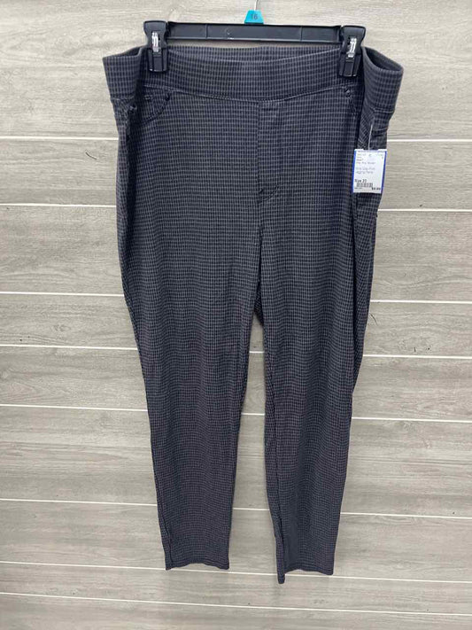 Seven7 Size 20 Gray Plus Pants