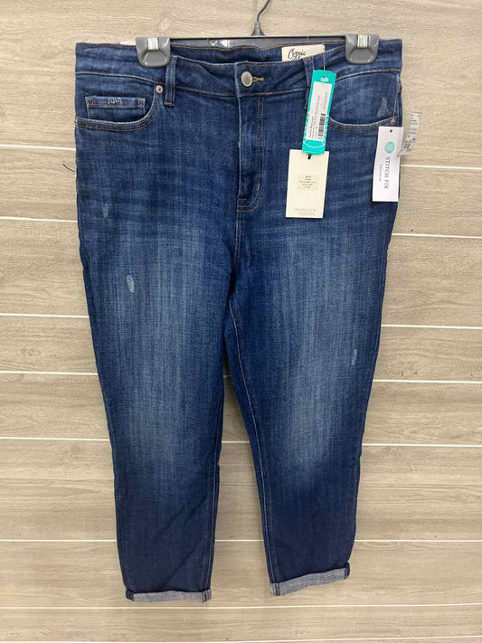 Cosmic Blue Love Blue Womens Women Size 12/14 Jeans