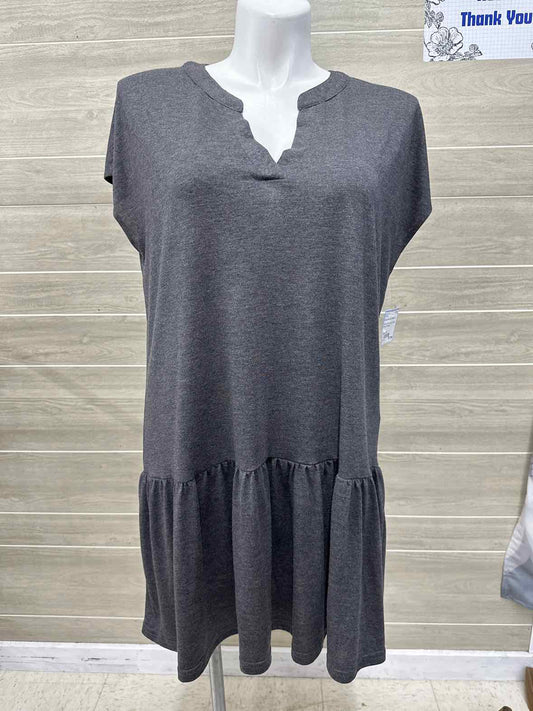 Size 14 Gray Womens Dress