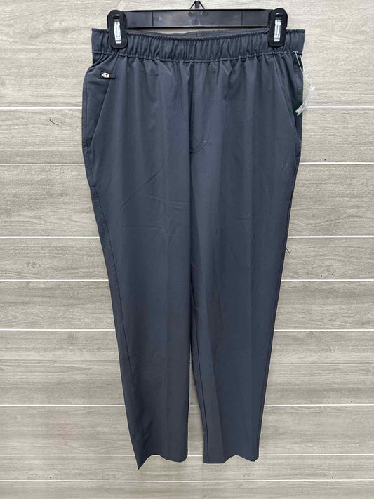 DSG Size 30 Men Mens Pants