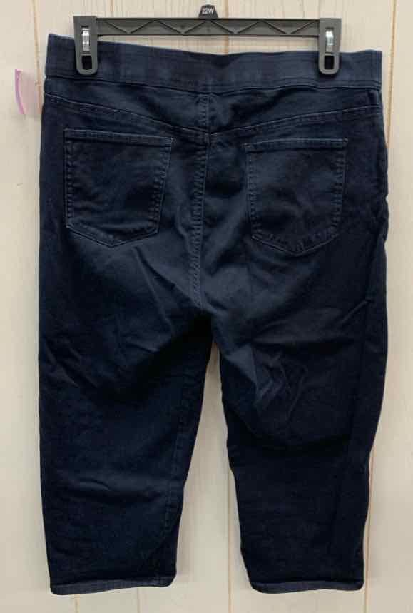 Gloria Vanderbilt Blue Womens Size 16 Jeans
