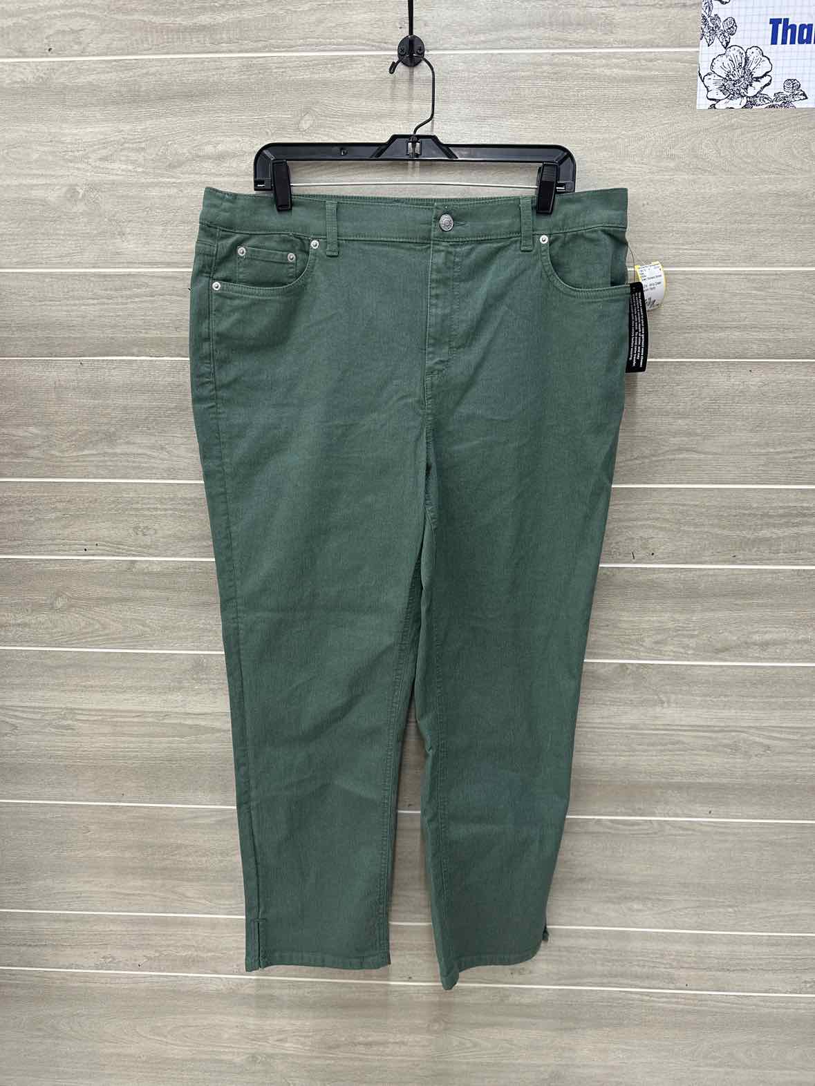 D & Co Green Womens Women Size 16 Pants