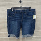 American Eagle Blue Womens Women Size 12 Shorts
