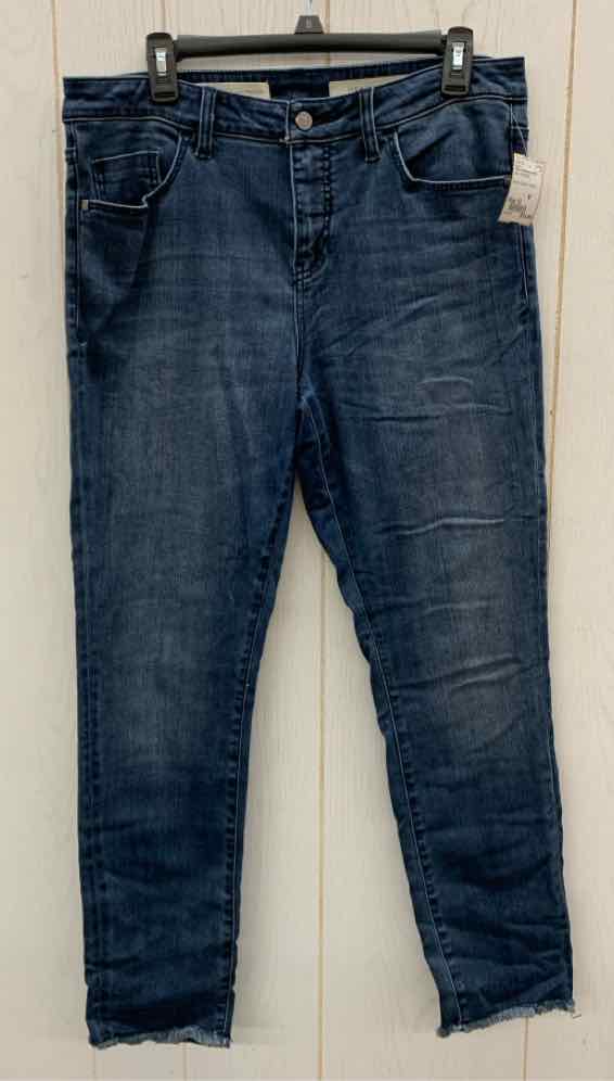 Pilco & the Letterpress Blue Womens Size 12 Jeans