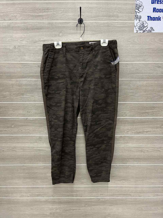 Cosmic Blue Love Size 14 Olive Womens Pants