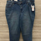 Style & Co Size 14W Blue Womens Jeans