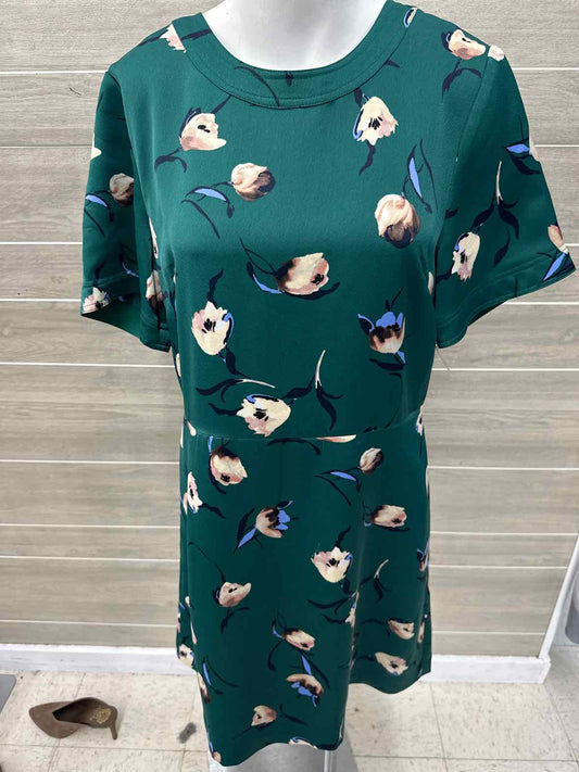 Banana Republic Size 10 Green Womens Dress