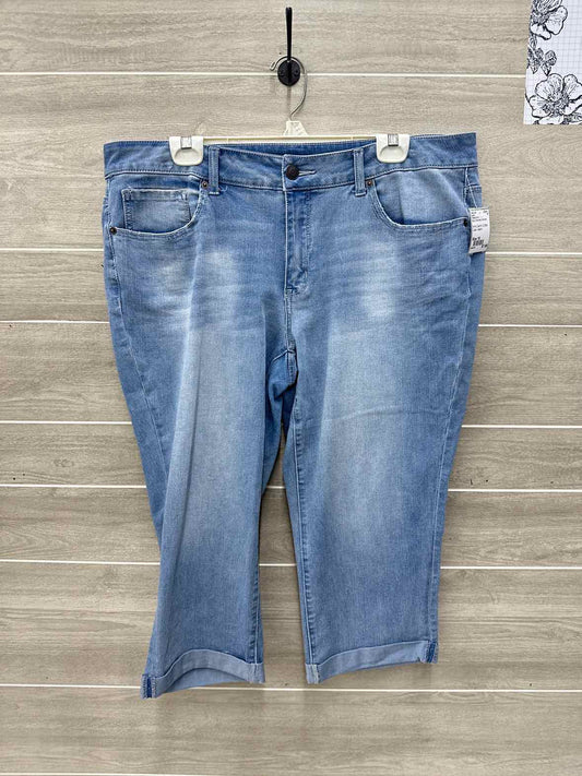 Time & Tru Blue Womens Women Size 18 Jeans