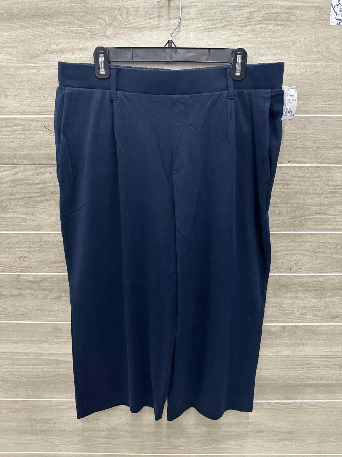 Lands End Size 16P Blue Petite Pants