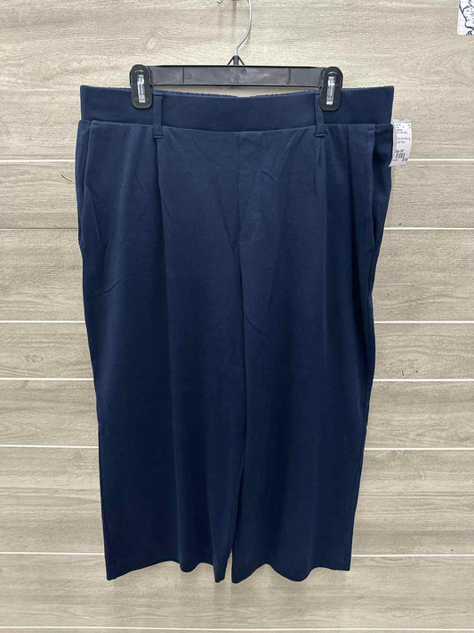 Lands End Size 16P Blue Petite Pants