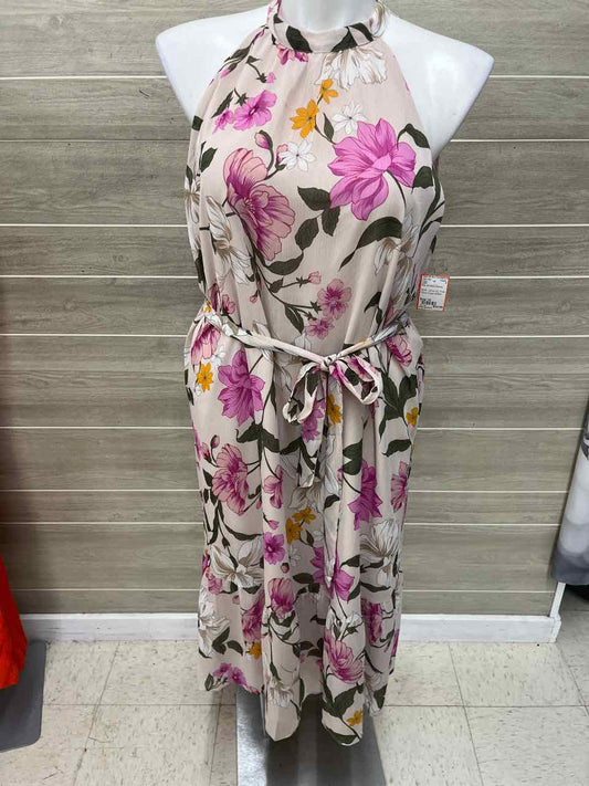 LOFT Size 14 Pink Womens Dress