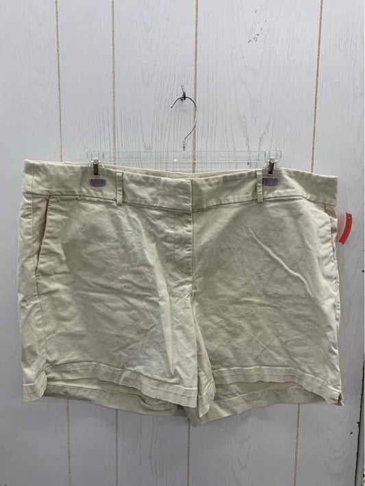 LOFT Khaki Womens Size 22 Shorts