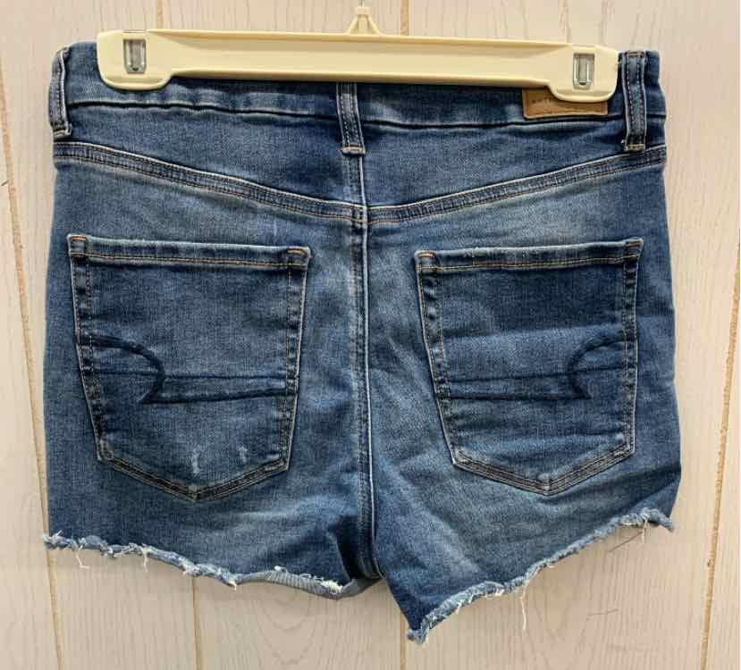 American Eagle Blue Womens Size 6 Shorts