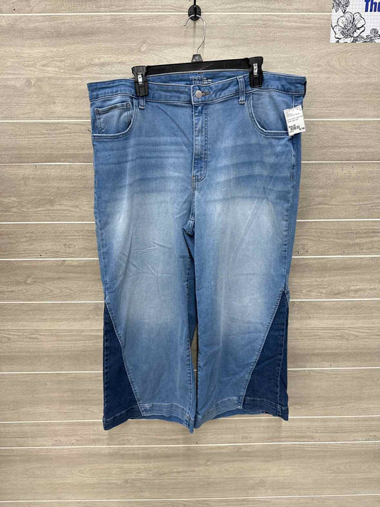 Time & Tru Blue Womens Women Size 20 Jeans
