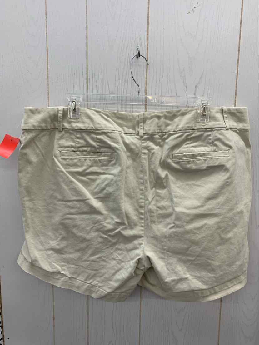 LOFT Khaki Womens Size 22 Shorts