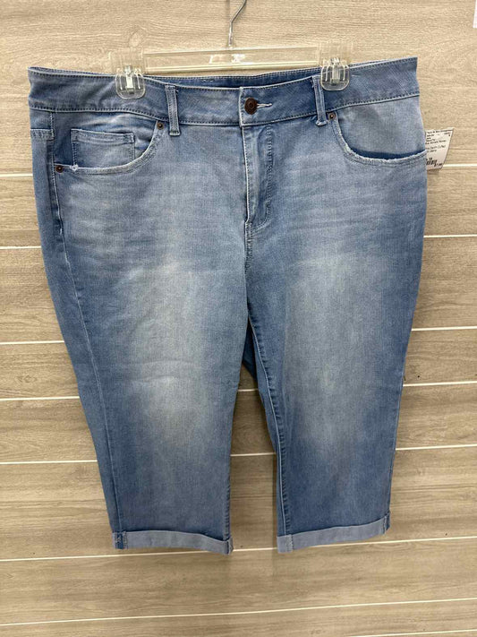 Time & Tru Blue Womens Women Size 18 Jeans