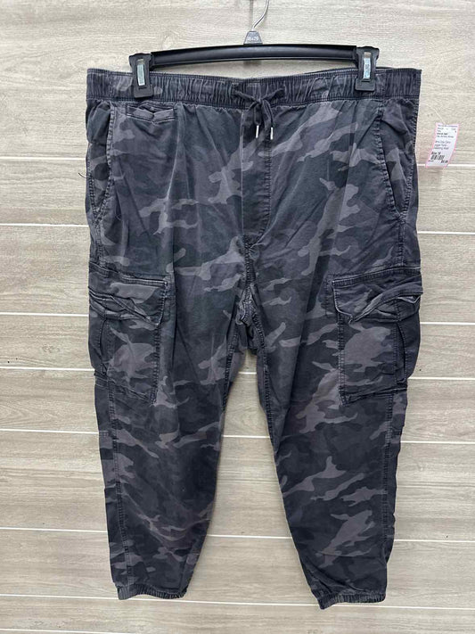 American Eagle Size 16 Gray Womens Pants
