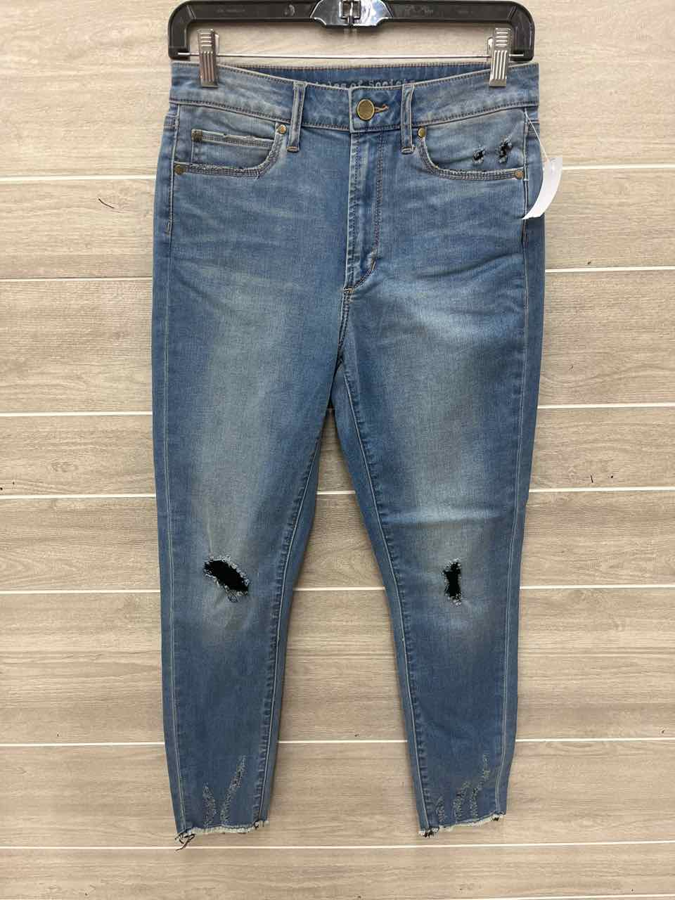 Articles of Society Size 4 Blue Womens Jeans