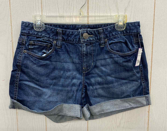 LOFT Blue Womens Size 4 Shorts