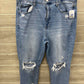 American Eagle Size 14 Short Blue Womens Jeans