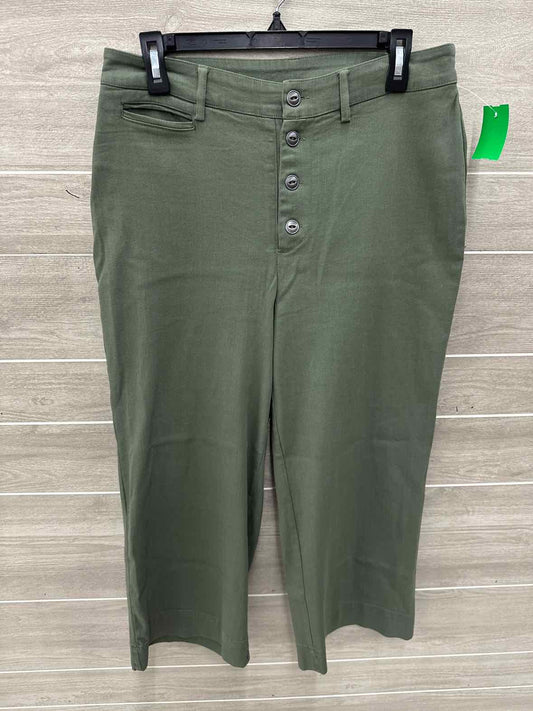 Adyson Parker Size 10 Olive Womens Pants