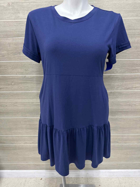 Size 10/12 Blue Womens Dress