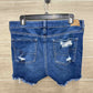 American Eagle Size 12 Blue Womens Shorts
