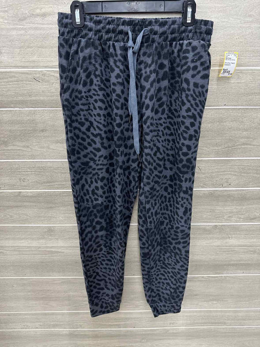 Daisy Fuentes Gray Womens Women Size M Pants