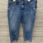 Silver Size 18W Blue Plus Jeans
